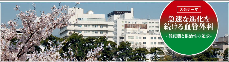 第41回日本血管外科学会学術総会