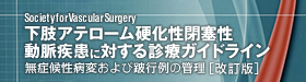 下肢アテローム硬化性閉塞性動脈疾患に対する診療ガイドライン