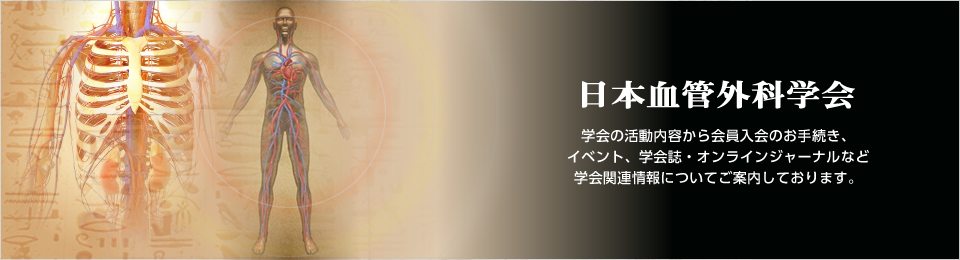 LS WS 心臓血管外科プロフェッショナル AX JE(心臓血管外科手術 LS WS 心臓血管外科プロフェッショナル AX JE(心臓血管外科手術